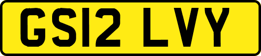 GS12LVY