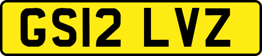 GS12LVZ
