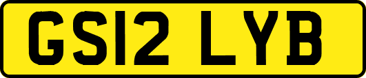 GS12LYB