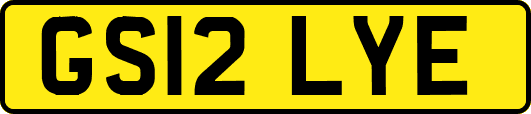 GS12LYE