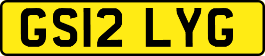 GS12LYG
