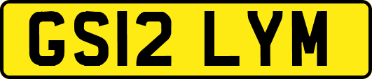 GS12LYM