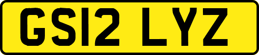 GS12LYZ
