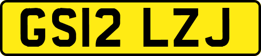 GS12LZJ