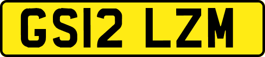 GS12LZM