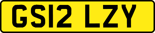 GS12LZY