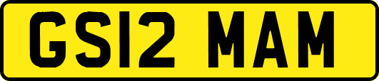 GS12MAM
