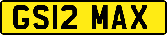 GS12MAX