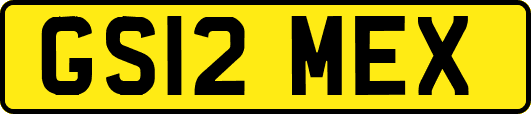 GS12MEX