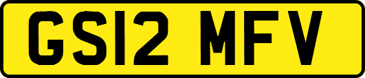 GS12MFV