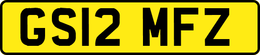 GS12MFZ