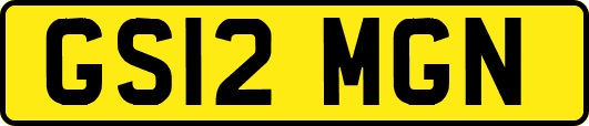 GS12MGN