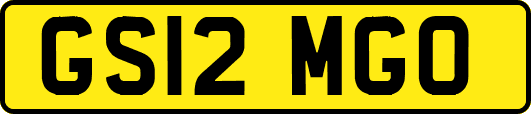 GS12MGO