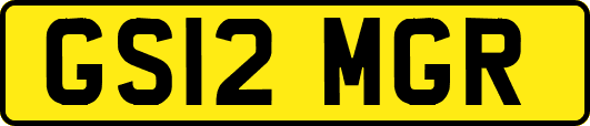GS12MGR