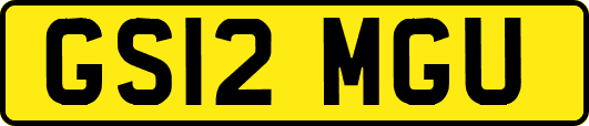 GS12MGU