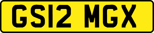 GS12MGX