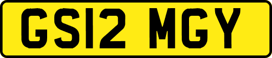 GS12MGY