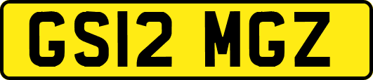 GS12MGZ