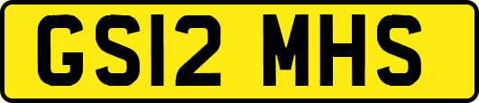 GS12MHS