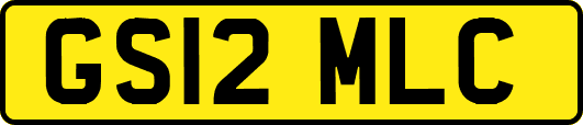 GS12MLC