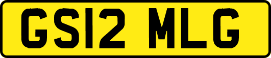 GS12MLG