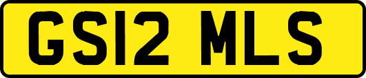 GS12MLS