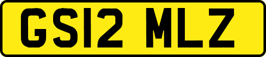 GS12MLZ