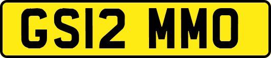 GS12MMO