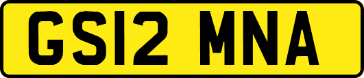GS12MNA