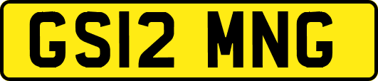 GS12MNG