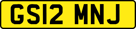 GS12MNJ