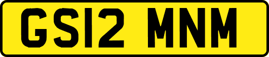 GS12MNM