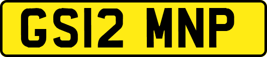 GS12MNP
