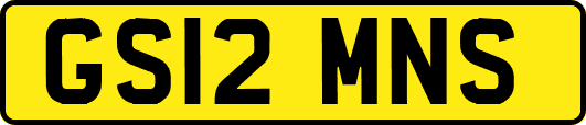 GS12MNS