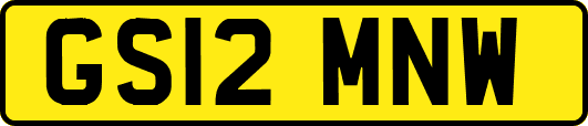 GS12MNW