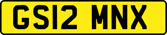GS12MNX