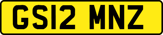 GS12MNZ