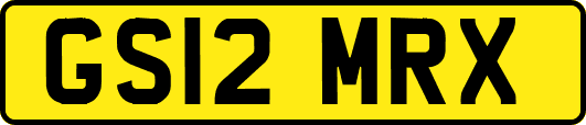 GS12MRX
