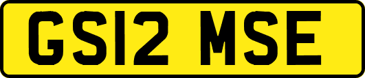 GS12MSE