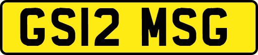 GS12MSG