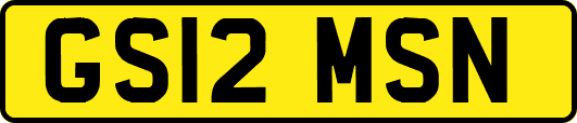 GS12MSN
