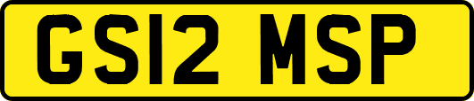 GS12MSP
