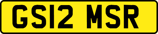 GS12MSR