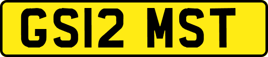 GS12MST