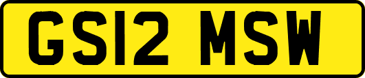 GS12MSW