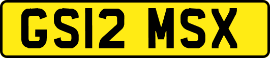 GS12MSX