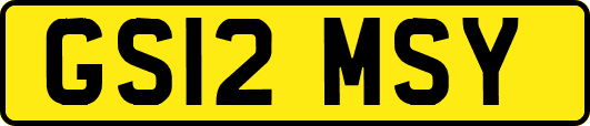 GS12MSY
