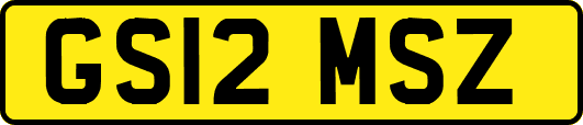 GS12MSZ