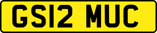GS12MUC