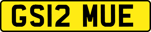 GS12MUE
